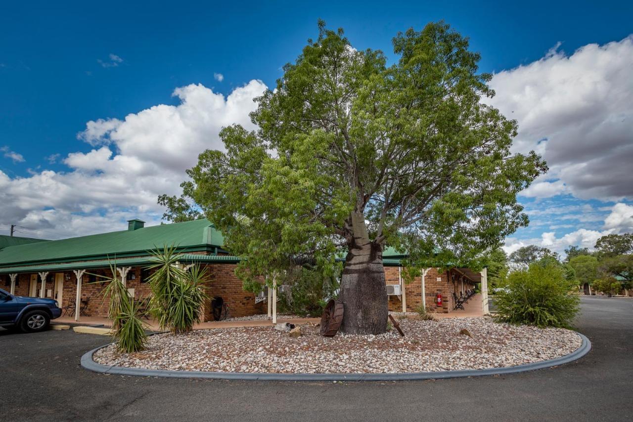 Overlander Homestead Motel Roma Luaran gambar